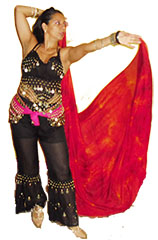 Descrição: C:\Users\PESSOAL\Documents\RO_158x240.jpg